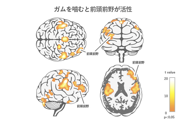 参考資料