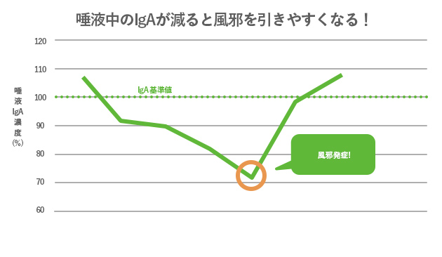 参考資料