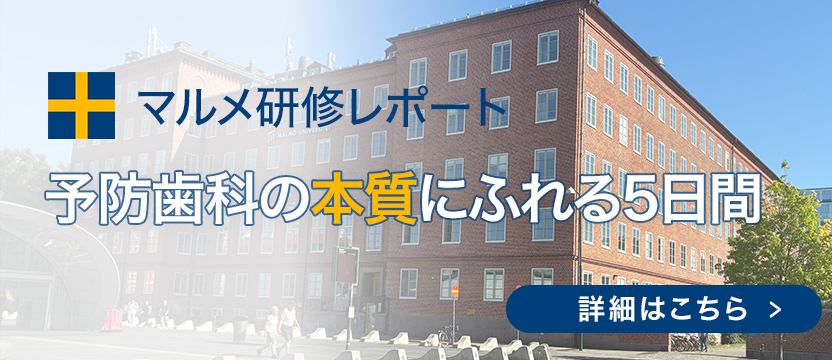 マルメ研修2026