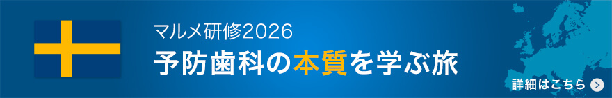 マルメ研修2026
